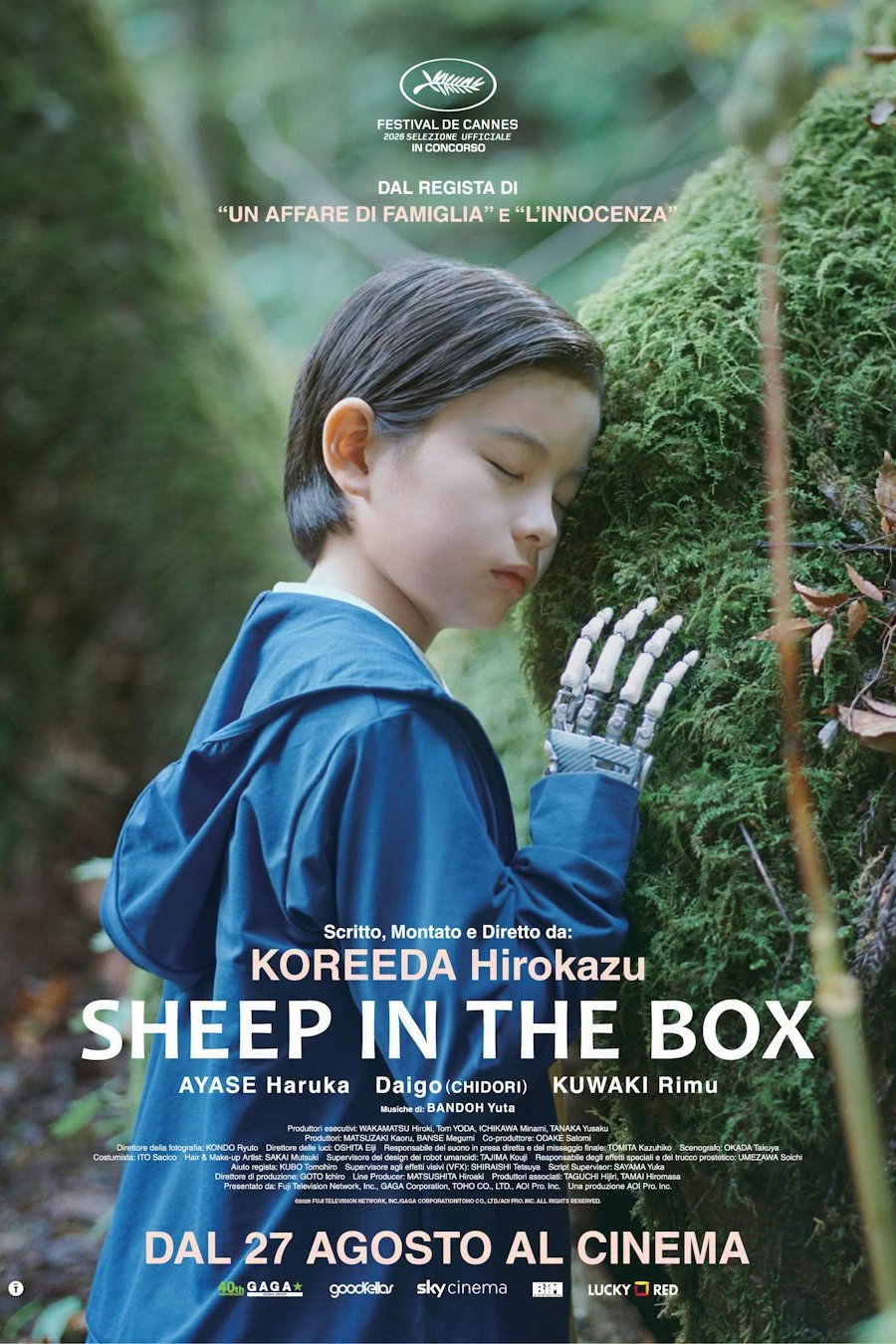 Poster SHEEP IN THE BOX